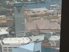 -悉尼塔旋转餐厅
