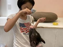 -浣熊柯尔鸭土拨鼠·电玩咖