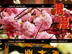 -西安青龙寺遗址景区
