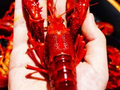 -黄鱼炙夜·烧烤·小龙虾(世茂缤谷店)