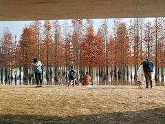 -白鹭湾湿地公园