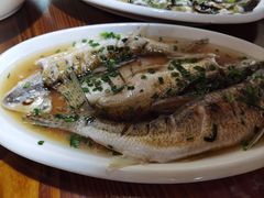 -呼吸森林·生态农庄农家乐私房菜