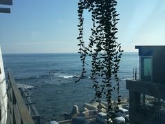 -Cafe Rooftop Cheongsapo