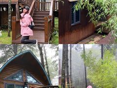 -洛阳白云山景区