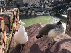 -金庭庄园酒店-停车场