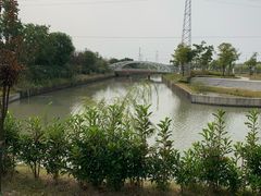 -菊园百果园