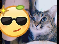 -猫友咖啡店(玉林西路店)