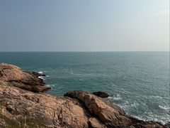 -广东惠东海龟国家级自然保护区