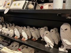 -九又四分之三站台哈利波特商店