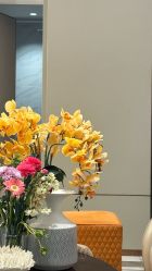-恒妍医美·韩国定制抗衰中心