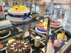 -卡吉诺动物奶油生日蛋糕(中原路店)