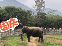 -西安秦岭野生动物园