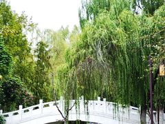 -武汉园博园(武汉自然博物馆)