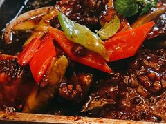 -沪碟·精菜坊(闵行店)