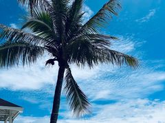 -三亚西岛海洋文化旅游区