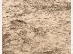 -上海月湖雕塑公园