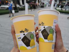 -丸摩堂鲜果茶(城南优品道店)