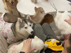 -怪兽屋·羊驼·猫咖·狗咖(俊华广场店)