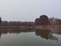 -苏州太湖国家湿地公园