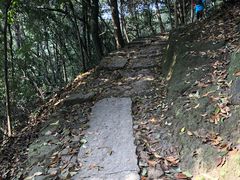 -西湖风景区十里琅珰-五云山