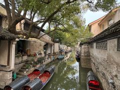 -绍兴鲁迅故里·沈园景区