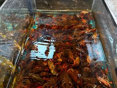 -黑金·寻焰自助百汇·烤肉·火锅(中街店)