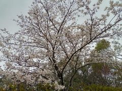 -南京市江宁方山