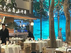 -桂满陇·海市蜃楼·黑金(国金店)