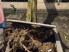 -长阳创谷
