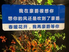 -豪爵足道·SPA(蔡甸店)