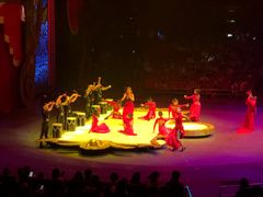 -珠海横琴长隆《卡卡虎奇遇记》