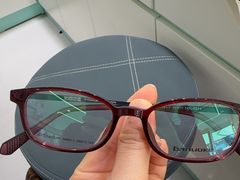 -中国丹阳眼镜城