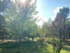 -长春公园(普阳街道)