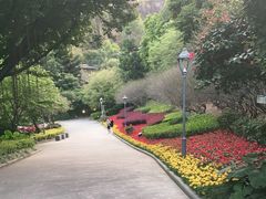 -金鸡山公园