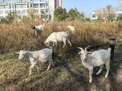 -杭州师范大学(下沙校区)