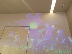 -宏宴·新京菜(望京店)