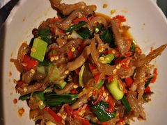 鸭掌筋-壹盏灯(惠农店)
