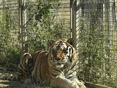 -黔灵山公园-南门售票处