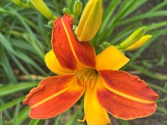 -哈尔滨文化公园