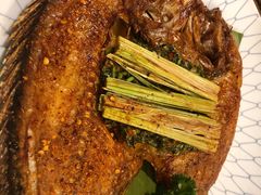 香茅草烤罗非鱼-紫滇源云南生态菜(丹凤街店)