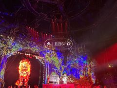 -广州长隆国际大马戏