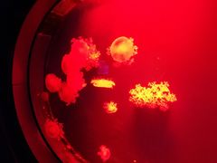 -福州罗源湾海洋世界旅游区