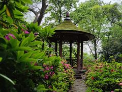 -惠山国家森林公园