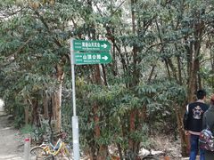 -紫金山天文台