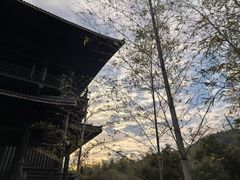 -大唐贡茶院