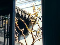 -绮园景区