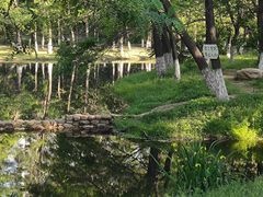 -长白岛森林公园