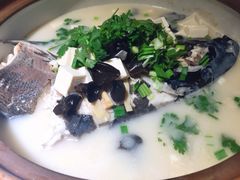 姜君千岛湖鱼头-姜君·千岛湖鱼头馆(浦东大道店)