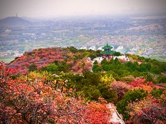 -北京西山国家森林公园