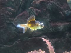 -苏州海洋馆
